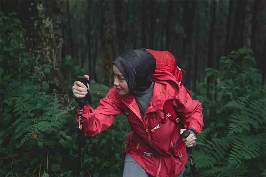 Outfit Gunung Wanita Hijab dengan jaket gunung merah, ransel, dan trekking pole saat pendaki gunung wanita menembus hutan lebat dalam perjalanan mendaki — sumber foto googleusercontent.com