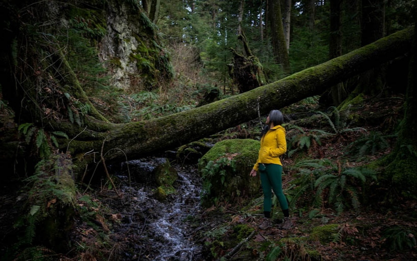Wanita mengunakan jaket kuning saat di hutan. Werna output mendaki. 