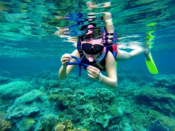 Snorkeling Karimunjawa (sumber foto: paketwisatakarimunjawa.com