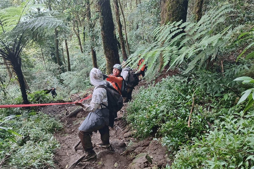 Petugas SAR saat mengevakuasi lima orang pendaki gunung di Gunung Batukaru si Kabupaten Tabanan, Provinsi Bali, pada Minggu (12/10/2025).(Sumber foto: Basarnas Bali.)