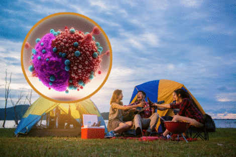 Camping tingkatkan imun tubuh, aktivitas berkemah di alam membantu mengaktifkan sel imun alami dan meningkatkan daya tahan tubuh secara alami.