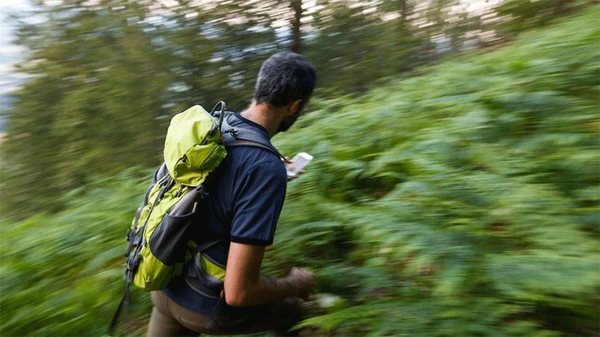 Memahami Apa Itu Survival. Sumber foto: klasika.kompas.id