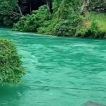 Close-up aliran deras Sungai Ombilin yang berwarna hijau toska terang, berpusar di antara tepian sungai yang ditumbuhi vegetasi hijau lebat.