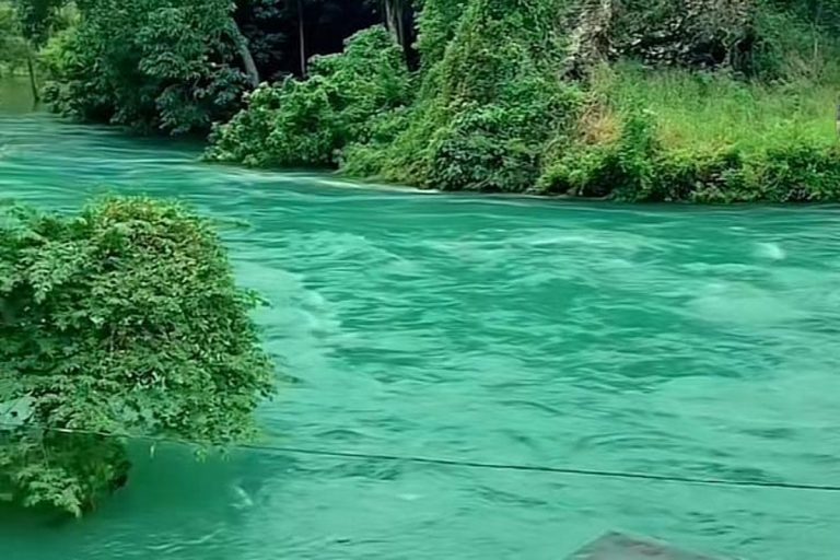 Close-up aliran deras Sungai Ombilin yang berwarna hijau toska terang, berpusar di antara tepian sungai yang ditumbuhi vegetasi hijau lebat.