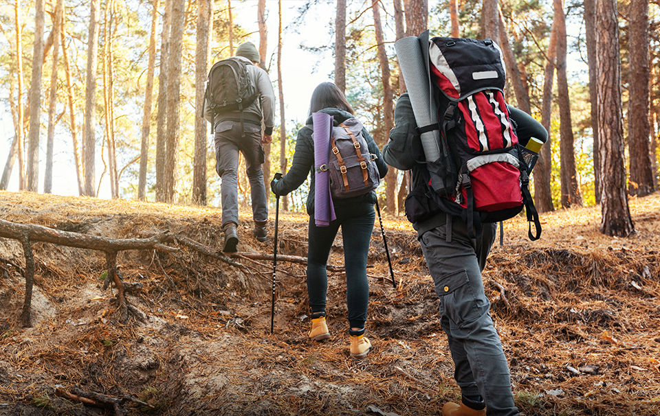 Rekomendasi Tas Daypack Hiking