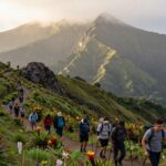 Harga trekking Gunung Leuser