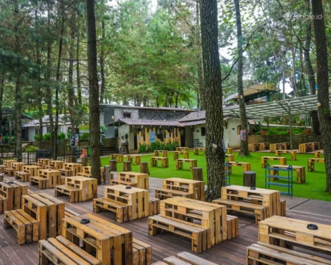 Cafe Hutan Pinus Sentul